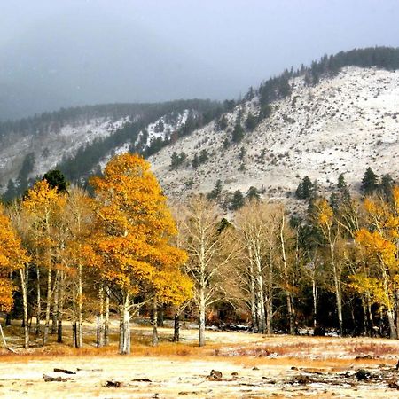 New Listing 2Br 2Ba Condo - Mountain Views Aspen Exterior foto