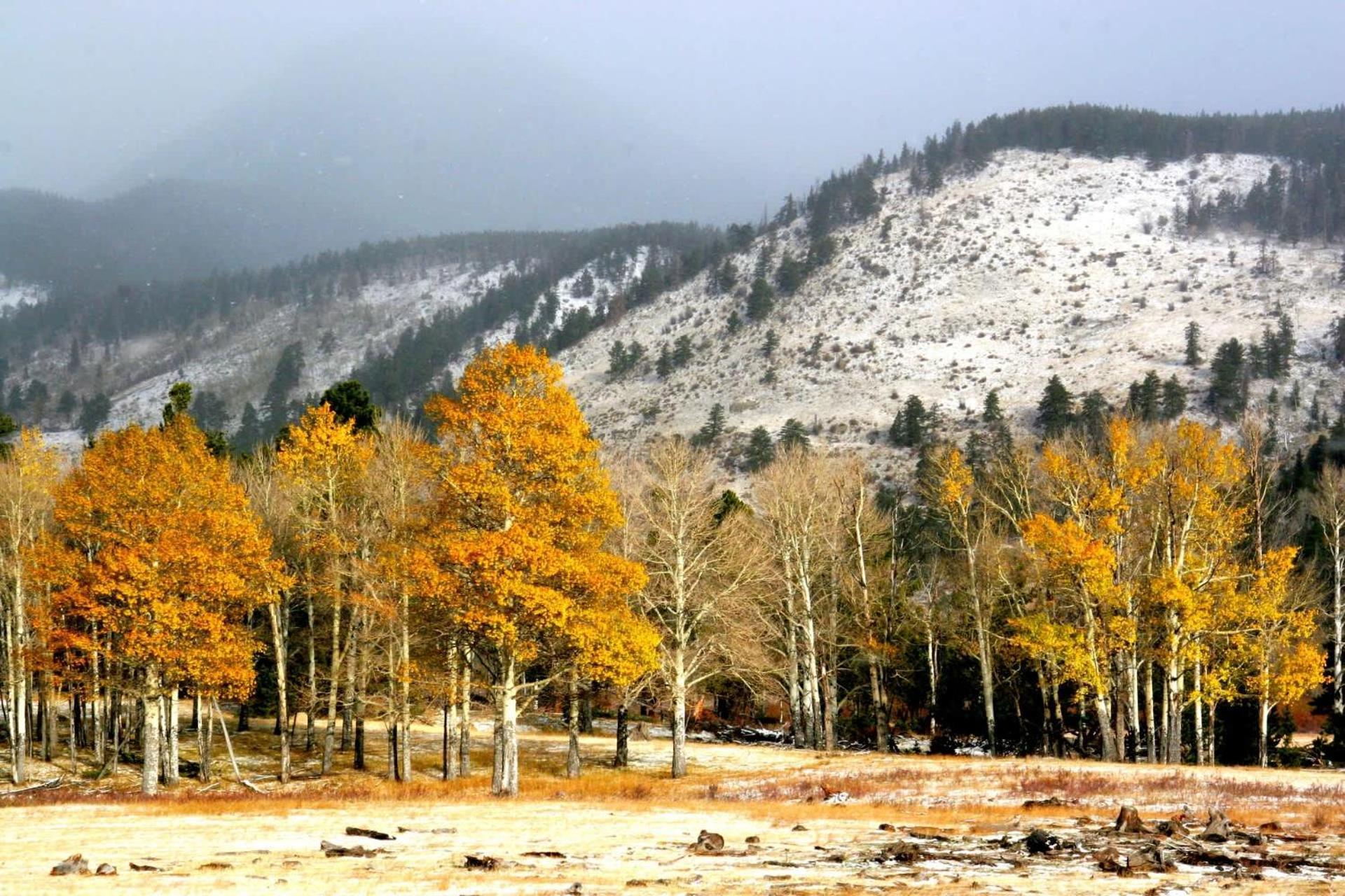 New Listing 2Br 2Ba Condo - Mountain Views Aspen Exterior foto